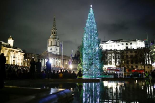 The Trafalgar Square Christmas tree