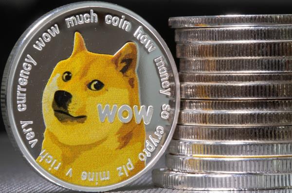 Picture of a dogecoin.