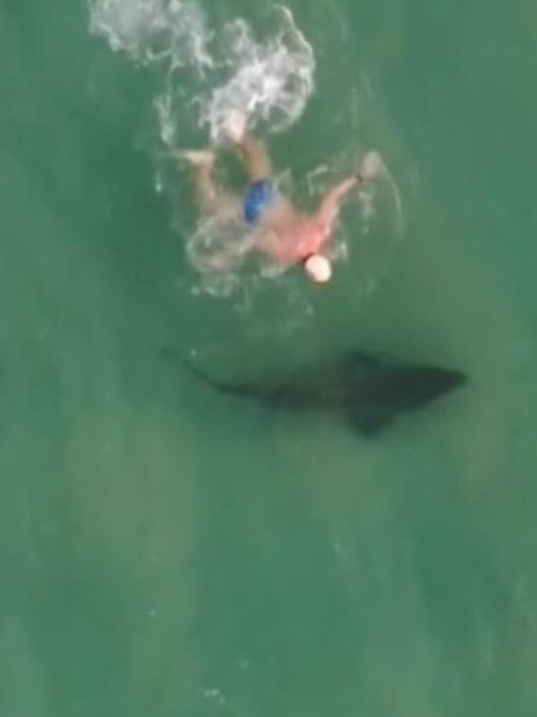 The man immediately in his tracks after spotting the shark