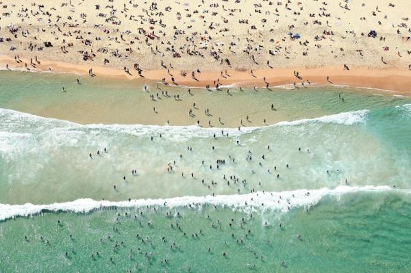 It’s not the first time grey nurse sharks have been filmed near swimmers at Bo<em></em>ndi Beach.</p>

<p>　　