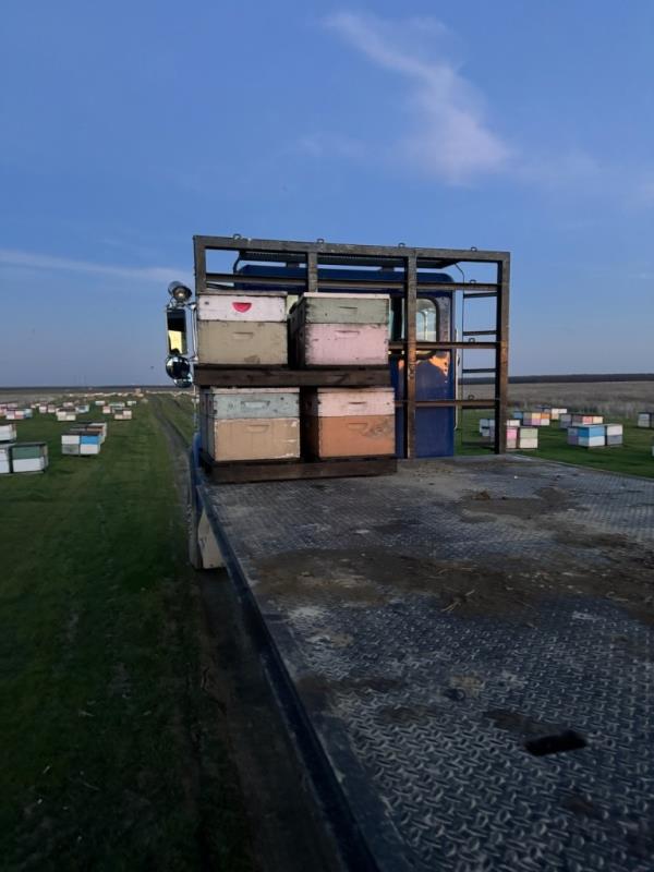 Photo of a truck on a farm 