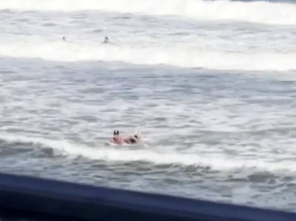 Video still of Taschman surfing.