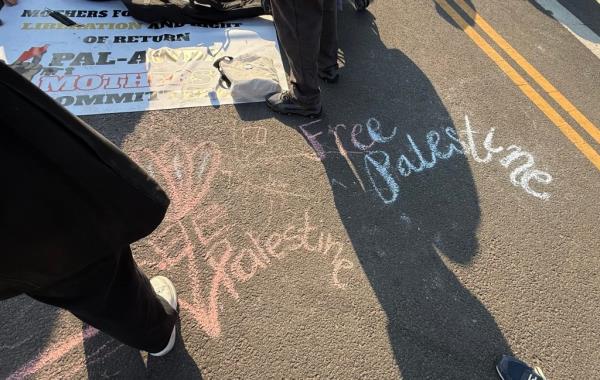 Palestinian children participating in a protest called 'Rage Play Date' outside the house of US Senate Majority Leader Chuck Schumer in Brooklyn, NY, on November 9, 2024.