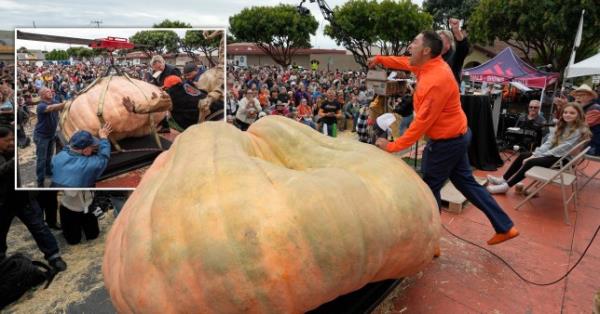 Travis Gienger won the 50th annual World Champio<em></em>nship Pumpkin Weigh-off in Half Moon Bay on Monday